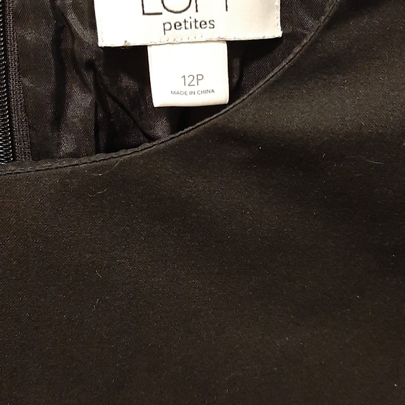 Loft Petites Shift Dress (with pockets!) - Picture 5 of 6